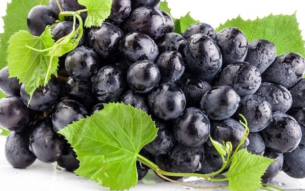 10 thực phẩm màu đen tốt cho sức khỏe hơn thuốc quý