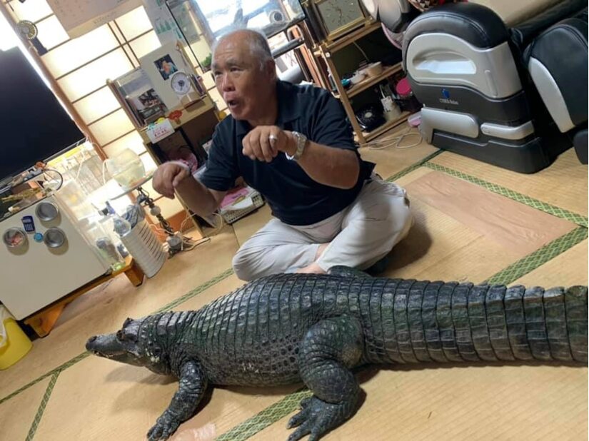 Người đàn ông nuôi cá sấu khổng lồ như thú cưng gần 40 năm.6