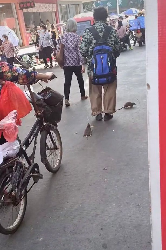 Người đàn ông dắt thú cưng đi dạo trên phố nhưng lại khiến người đi đường phải hoảng hốt
