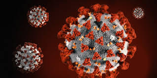 Phát hiện biến thể mới của virus SARS-CoV-2