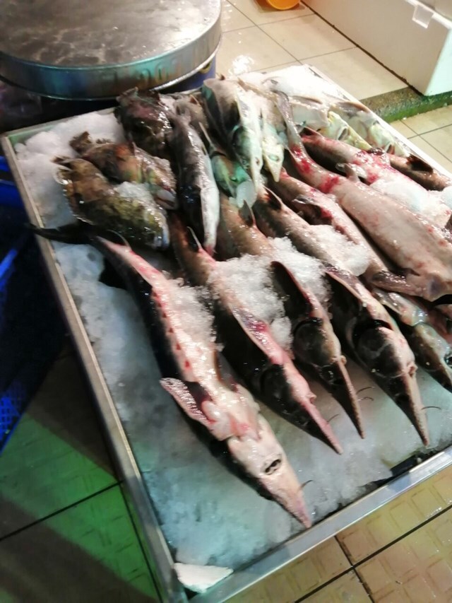 Cá tầm Trung Quốc ‘đội lốt’ cá tầm Việt tràn ngập thị trường: Do lỗ hổng quản lý?