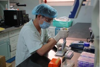 Quảng Ninh: Tiêm thử nghiệm vaccine phòng Covid-19 trên khỉ tại đảo Rều