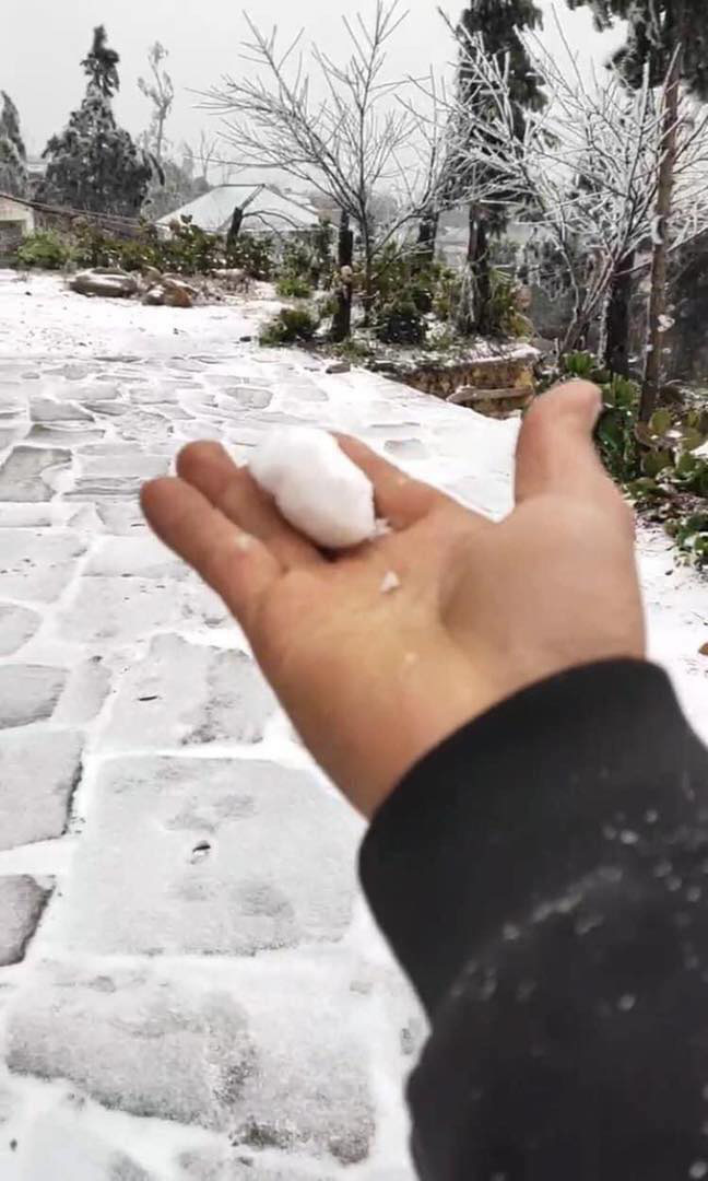 Phượt thủ đổ xô lên Lào Cai ngắm tuyết rơi, chuyên gia khí tượng cảnh báo