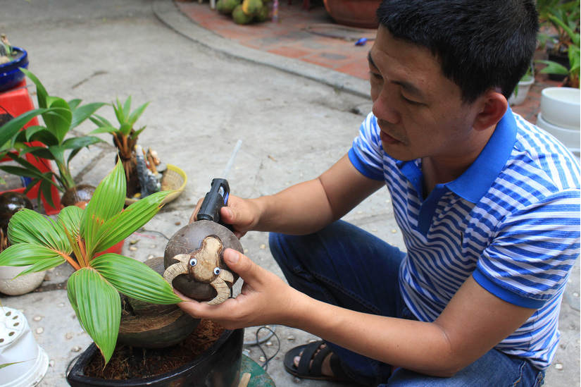 Tết Tân Sửu: Biến quả dừa khô thành bonsai hình trâu, giá tiền triệu mà khách đặt mua tới tấp