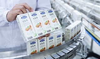 Vinamilk 'xông đất' 2021 với lô hàng lớn gồm sữa hạt và sữa đặc xuất khẩu đi Trung Quốc
