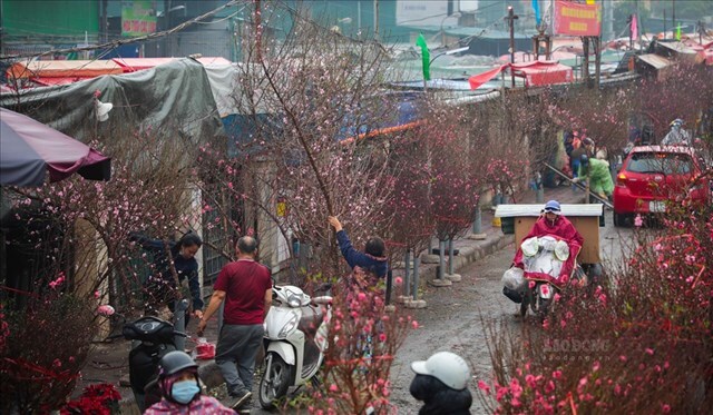 Chợ hoa lớn nhất Hà Nội: Tất bật phục vụ nhu cầu chơi Tết