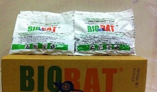 Thanh Hóa: Yêu cầu dừng sử dụng thuốc Biorat để diệt chuột