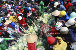 Người Hà Nội đội nắng hàng giờ đồng hồ chờ mua nông sản Hải Dương