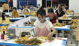 Lao động nữ mang thai, nuôi con nhỏ có bị kỷ luật?