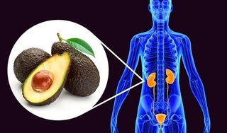 Điều gì xảy ra với cơ thể khi ăn bơ mỗi ngày trong 1 tháng?