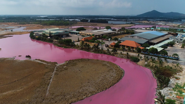 Cận cảnh đầm nước màu hồng vì bị uống nước thải