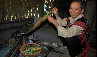 Kể chuyện làng: Lên Trường Sơn ăn món cà đắng của người Cơ Tu