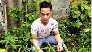 Nam Định: Xử lý 3 đối tượng trồng cần sa trái phép để ...ngâm rượu và nuôi gà chọi