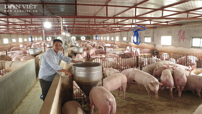 Sau một năm nuôi lợn trúng đậm, có một ông nông dân bỏ tiền tỷ mua ô tô Vinfast Lux SA