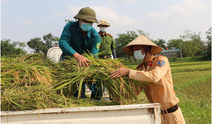 Công an lội ruộng gặt lúa giúp người dân F1, F2 đang phải đi cách ly vì dịch COVID-19