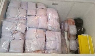 Hà Nội: Làm rõ vụ cất giấu hơn 1.300 thai nhi trong tủ lạnh