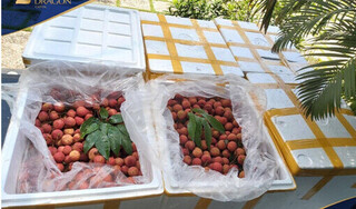 Ấm áp tinh thần hỗ trợ nông sản mùa dịch