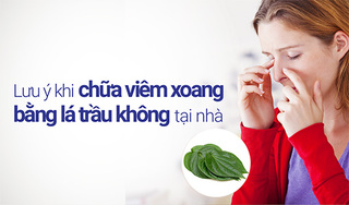 Lưu ý khi chữa viêm xoang bằng lá trầu không tại nhà 