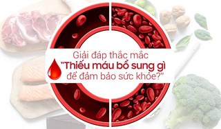 Giải đáp thắc mắc “thiếu máu bổ sung gì để đảm bảo sức khỏe?”