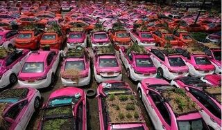 Hàng trăm xe taxi ở Thái Lan biến thành... 