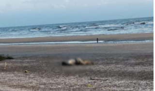 Hà Tĩnh: Phát hiện thi thể người đàn ông trôi dạt vào bờ biển