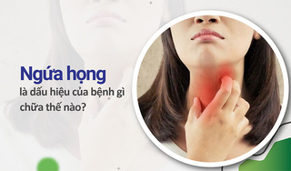 Ngứa họng là dấu hiệu của bệnh gì, chữa thế nào hiệu quả?