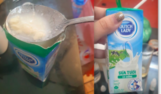 Vụ sữa Dutch Lady vón cục, bốc mùi hôi: Nhà sản xuất ‘đổ lỗi’ cho côn trùng?