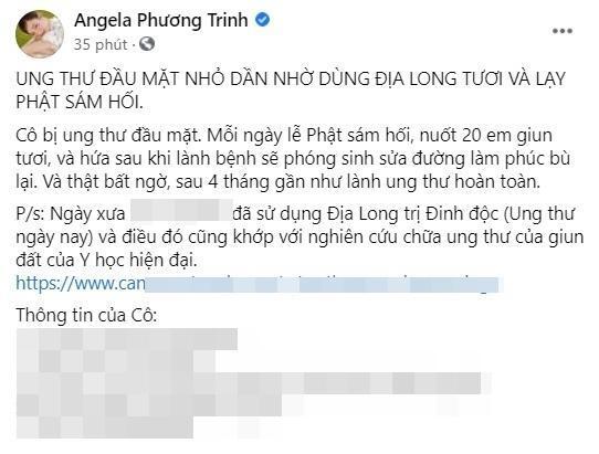 Bị xử phạt 7,5 triệu đồng, Angela Phương Trinh vẫn quyết tuyên truyền địa long