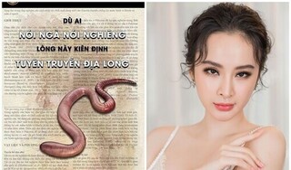 Angela Phương Trinh vẫn tuyên truyền địa long dù mới bị xử phạt 