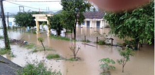 Phú Yên: 5 người chết, gần 29.000 ngôi nhà chìm trong nước lũ