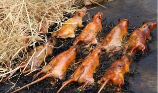 Xác định nguyên nhân 3 người nguy kịch sau khi ăn thịt chuột