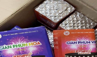 Lý do tạm dừng bán 2 sản phẩm pháo hoa 'made in Việt Nam'