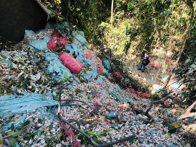 Vụ xe tải lao xuống vực khiến 9 người thương vong ở Gia Lai, các nạn nhân đều là lao động bốc vác thuê