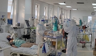 Việt Nam có gần 39.000 bệnh nhân tử vong do mắc Covid-19
