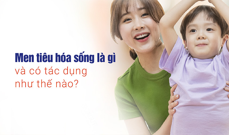 men tiêu hóa sống là gì