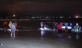 Đà Nẵng: 5 du khách bị sóng cuốn trôi khi tắm biển, 1 người mất tích