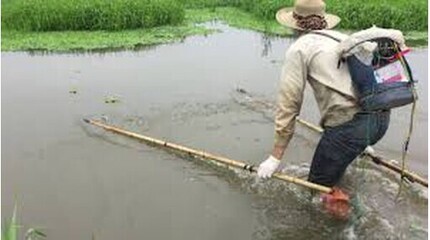 Đắk Lắk: Đánh cá bằng kích điện, người đàn ông bị điện giật tử vong