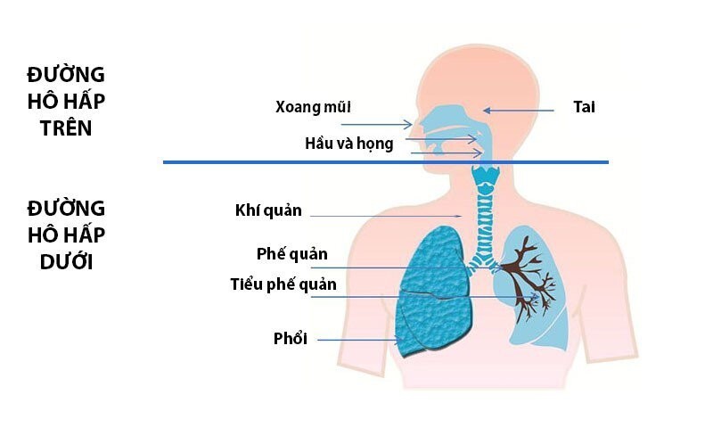 viêm đường hô hấp ở trẻ em