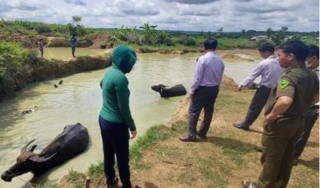 Đắk Lắk: Ra ao gần nhà chơi, 2 chị em ruột đuối nước thương tâm