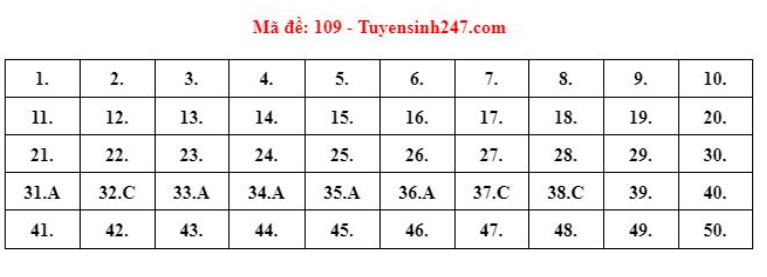 Đáp án đề thi môn Toán Học mã đề 109 kỳ thi THPT Quốc Gia 2022