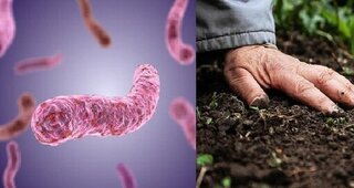 Cảnh giác bệnh 'vi khuẩn ăn thịt người' vào mùa mưa gây biến chứng nguy hiểm
