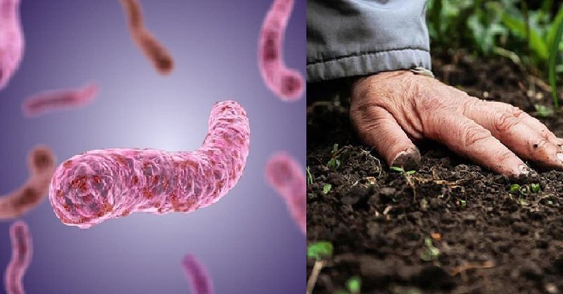 Cảnh giác bệnh vi khuẩn ăn thịt người vào mùa mưa gây biến chứng nguy hiểm
