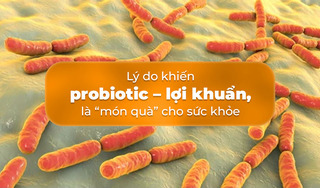 Lý do khiến bổ sung probiotic – lợi khuẩn là “món quà” cho sức khỏe