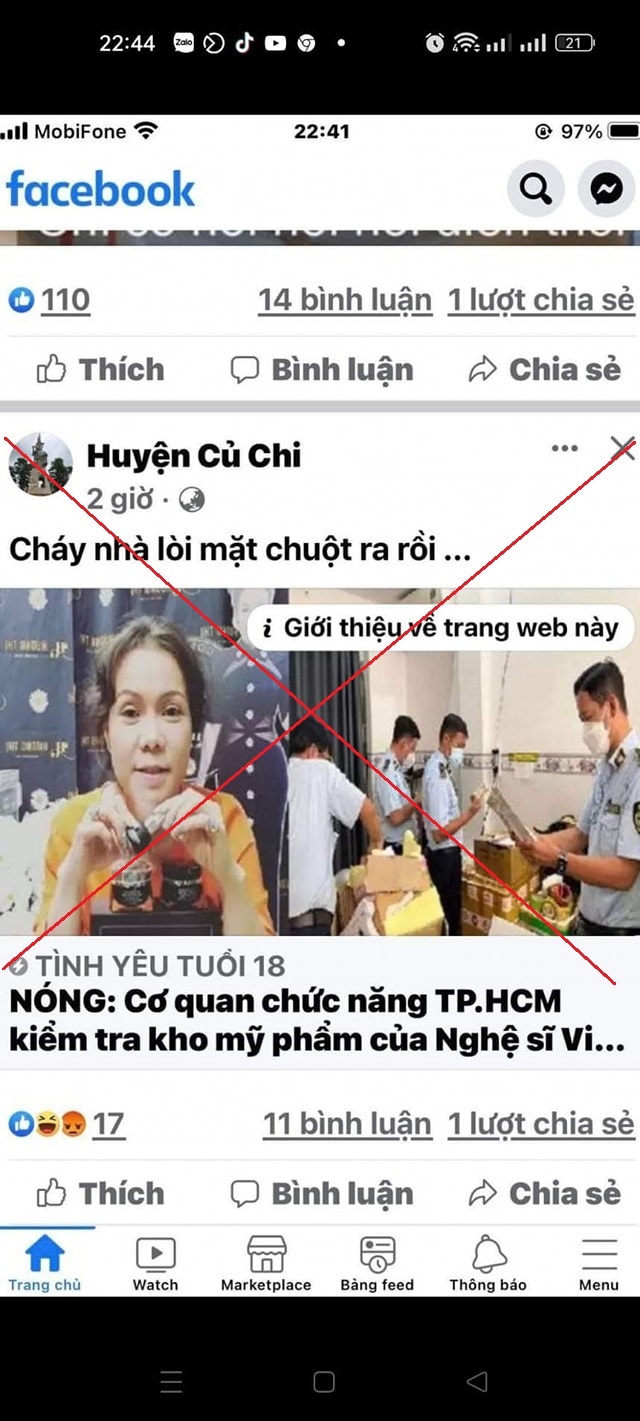 Việt Hương nhờ an ninh mạng vào cuộc vì bị cắt ghép thông tin sai sự thật