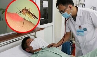 Hà Nội ghi nhận thêm 3 ca tử vong do sốt xuất huyết trong một tuần