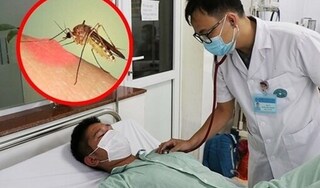 Long An ghi nhận 8 trường hợp tử vong do sốt xuất huyết