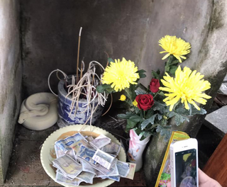 Sự thật bất ngờ về thông tin xuất hiện 'bạch xà' trong đình làng ở Bắc Giang