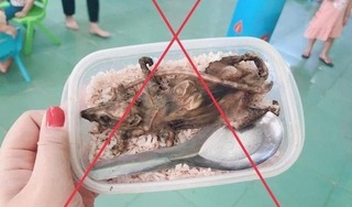 Ảnh học sinh ăn cơm với thịt chuột được chụp từ năm 2019