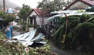Bão Noru khiến 57 người bị thương, hàng ngàn ngôi nhà bị hư hại