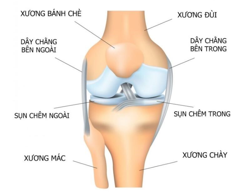 đau đầu gối phải